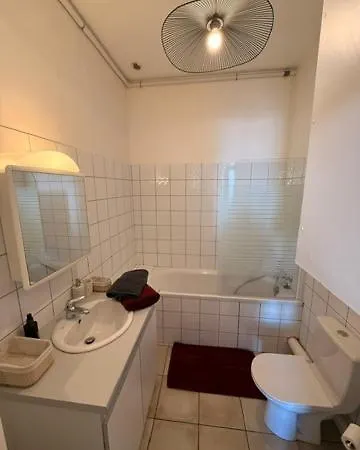 Meuble Coeur Historique De Cordon Appartement Chambéry